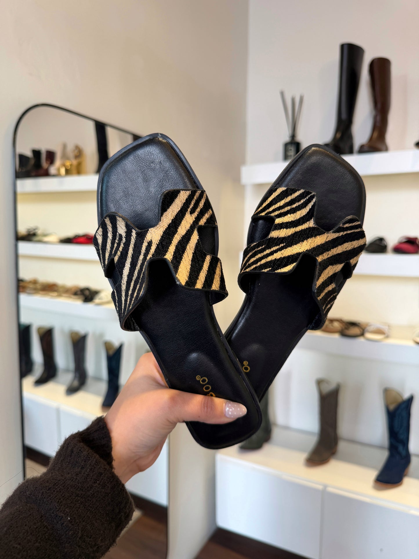 Zebra